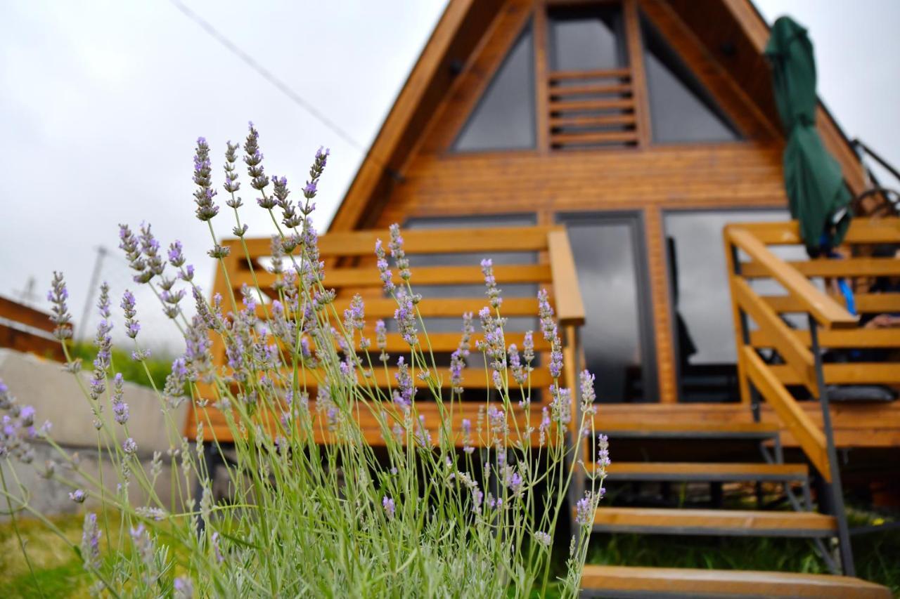 Kazbegi Spa Resort Cottages ภายนอก รูปภาพ